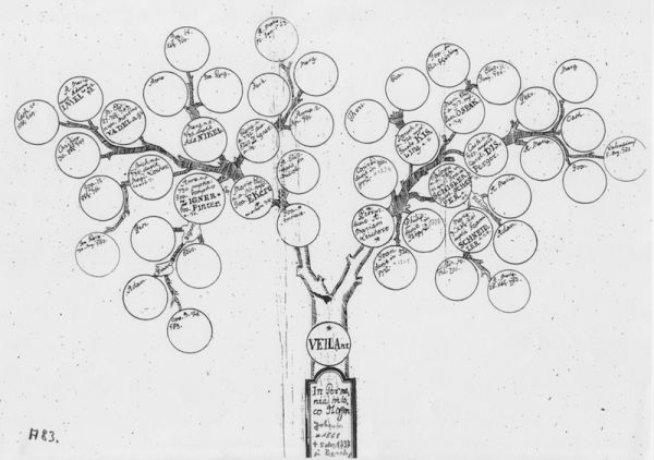 Erster Stammbaum der Familie Weiland